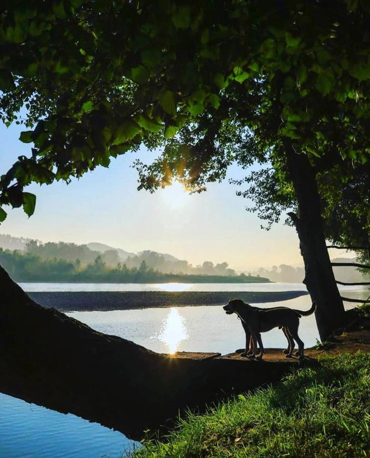 Drinska laguna Banja Koviljača Exteriör bild